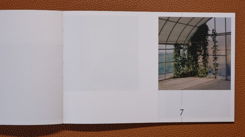 GFX 50R_251109_DSCF7926.jpg